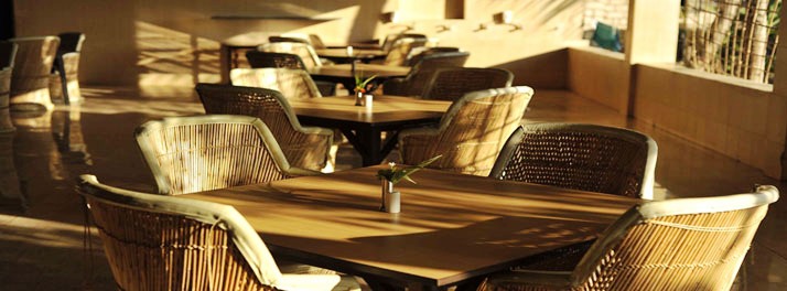 1432/Camp Leo & Gir Pride Resort - Gir National Park 04.jpg